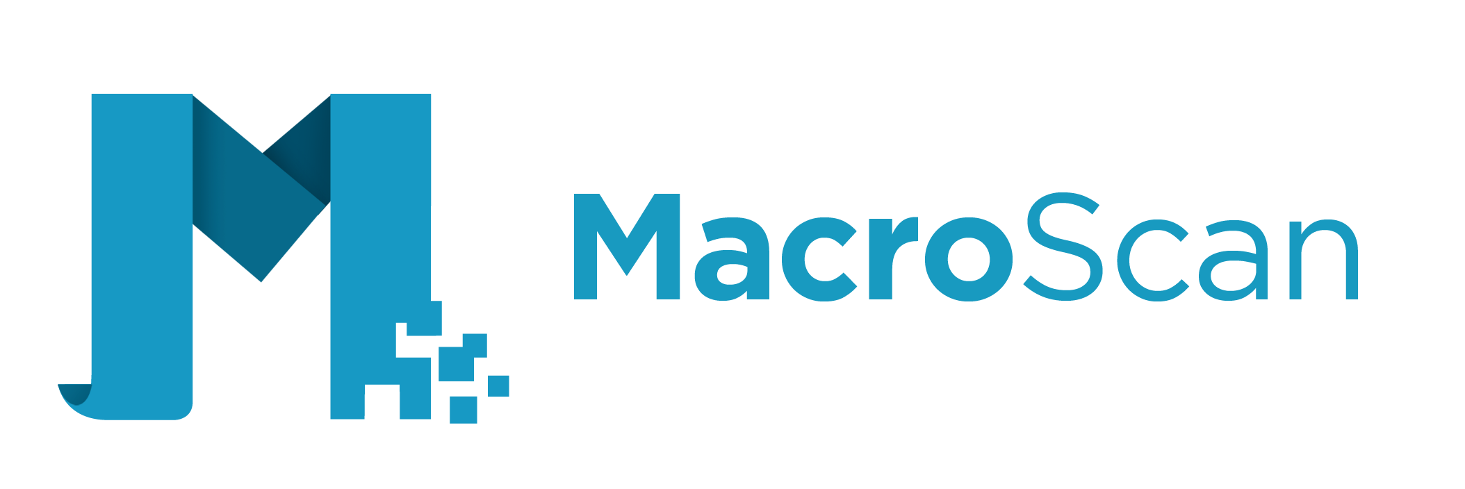 MacroScan